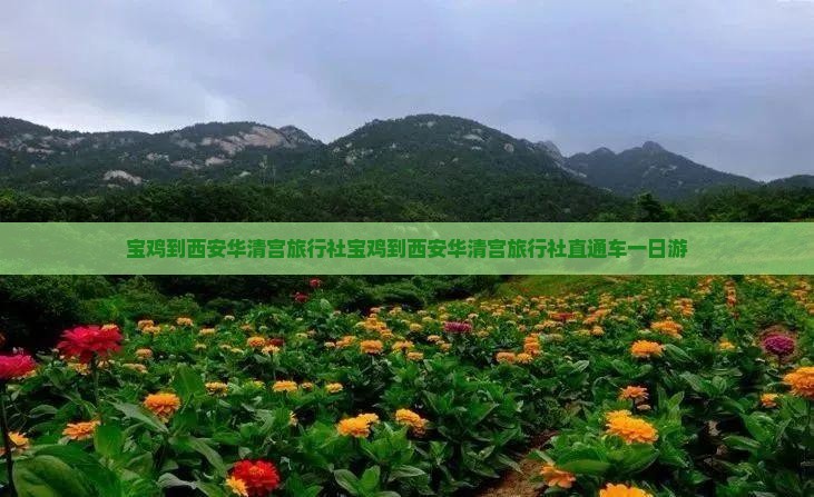 宝鸡到西安华清宫旅行社