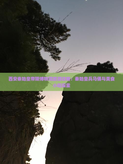 乌海市去西安秦始皇帝陵博物院旅游小吃