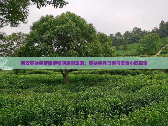 乌海市去西安秦始皇帝陵博物院旅游小吃