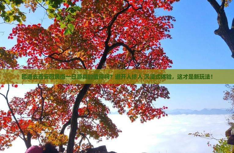 昭通去西安回民街一日游
