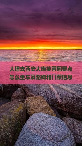 大理去西安大唐芙蓉园景点