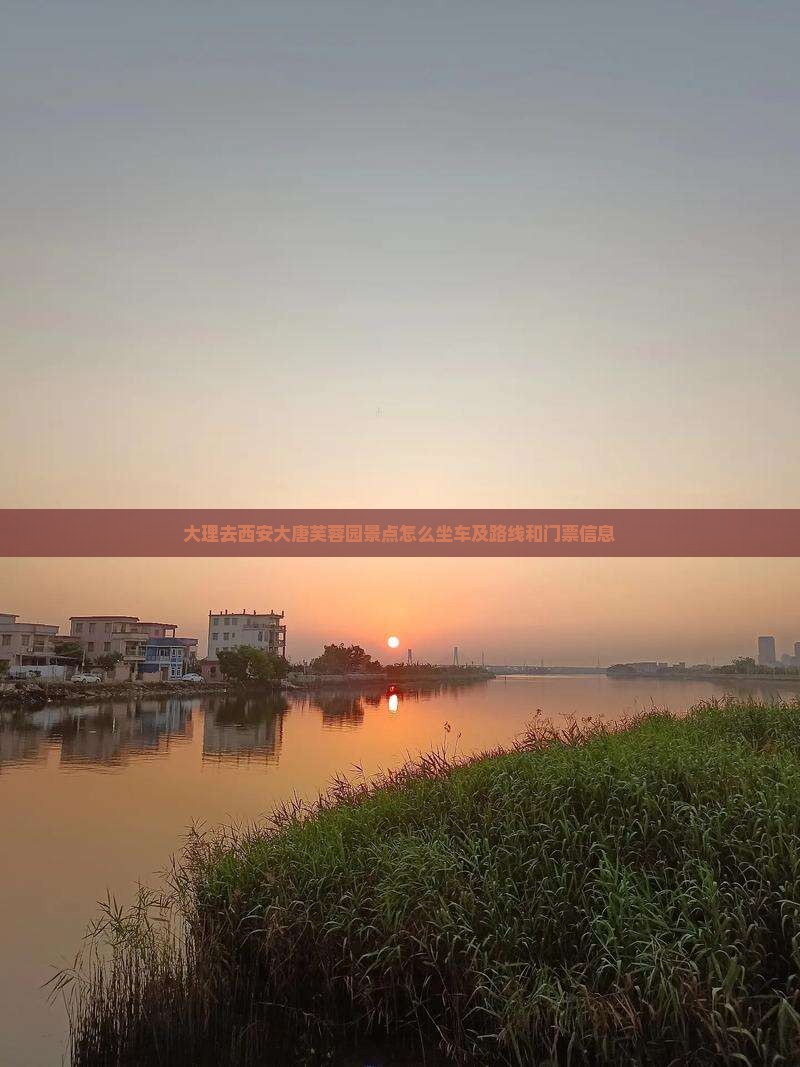 大理去西安大唐芙蓉园景点