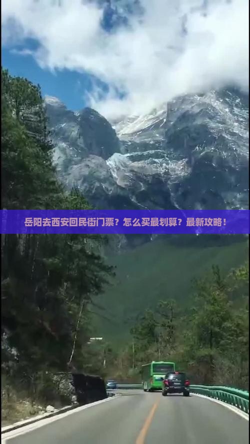 岳阳去西安回民街门票
