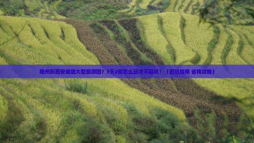 梧州到西安城墙大型旅游团