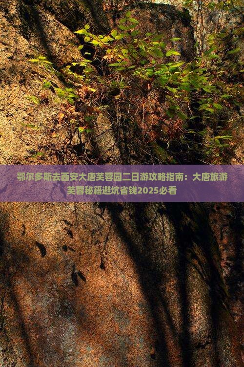 鄂尔多斯去西安大唐芙蓉园二日游