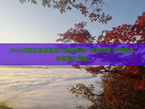 沈阳去西安大唐不夜城门票 沈阳去西安大唐不夜城门票