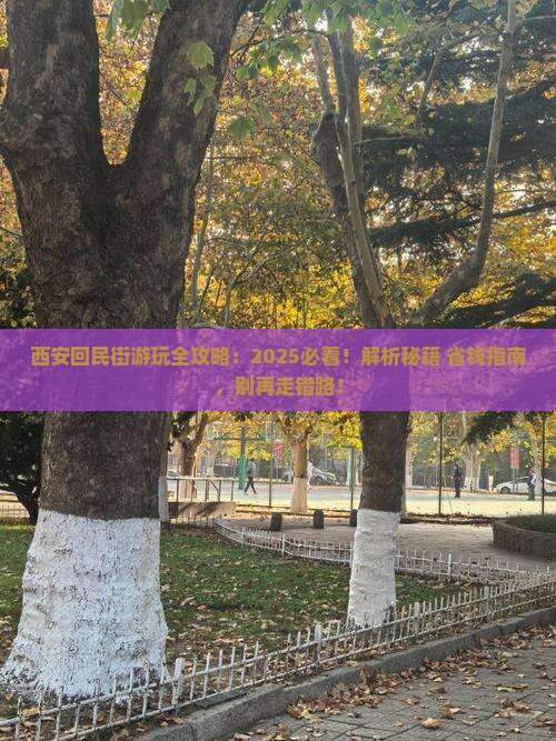 江门到西安回民街哪里玩