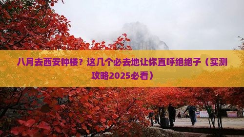 八月到西安钟楼必去地