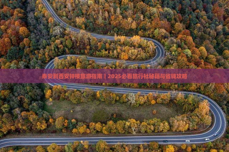 泰安到西安钟楼旅行社 泰安到西安钟楼旅行社