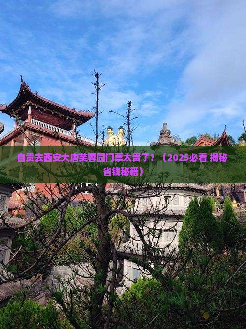 自贡去西安大唐芙蓉园门票