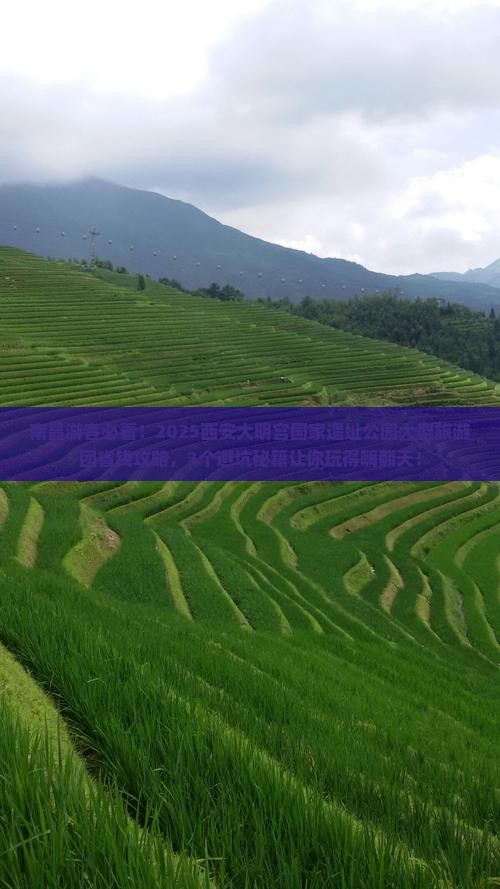 南昌到西安大明宫国家遗址公园大型旅游团