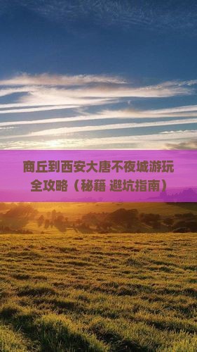 商丘去西安大唐不夜城必去地