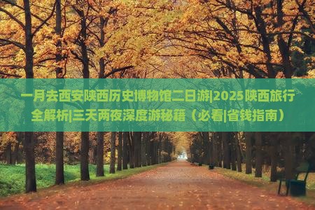 一月去西安陕西历史博物馆二日游