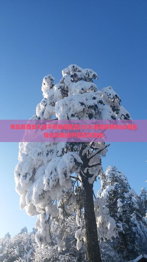 青岛到西安大唐不夜城哪里玩