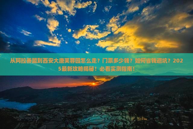 阿拉善盟到西安大唐芙蓉园门票
