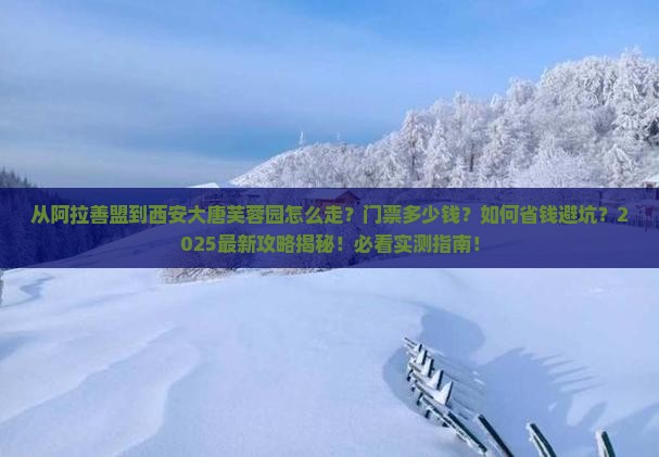 阿拉善盟到西安大唐芙蓉园门票