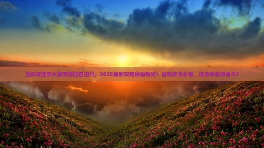 玉树去西安大唐芙蓉园自由行