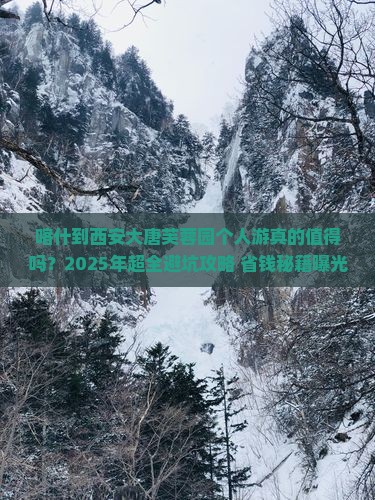 喀什到西安大唐芙蓉园个人游