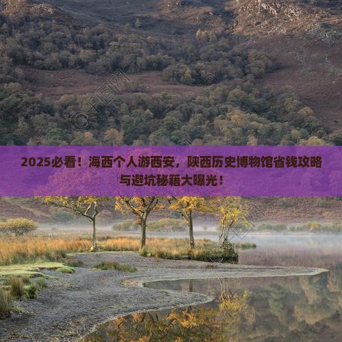 海西去西安陕西历史博物馆个人游