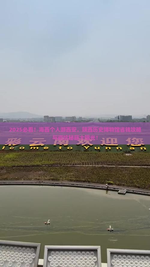 海西去西安陕西历史博物馆个人游
