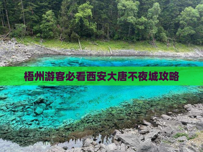 梧州去西安大唐不夜城景点