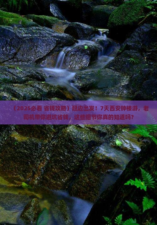 延边到西安钟楼七日游