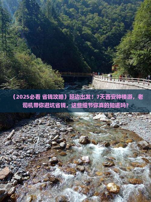 延边到西安钟楼七日游