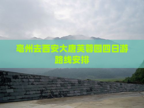 亳州去西安大唐芙蓉园四日游