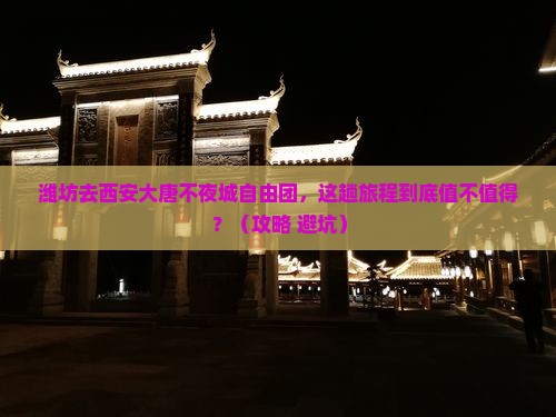 潍坊去西安大唐不夜城自由团