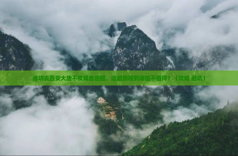 潍坊去西安大唐不夜城自由团
