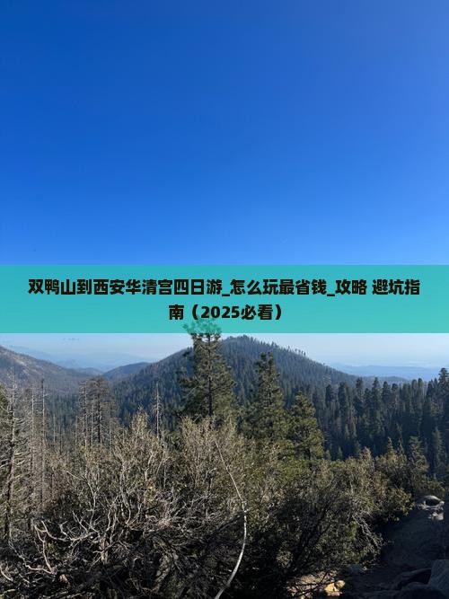 双鸭山到西安华清宫四日游 双鸭山到西安华清宫四日游
