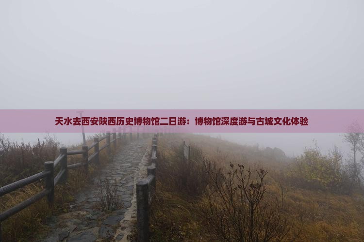 天水去西安陕西历史博物馆二日游