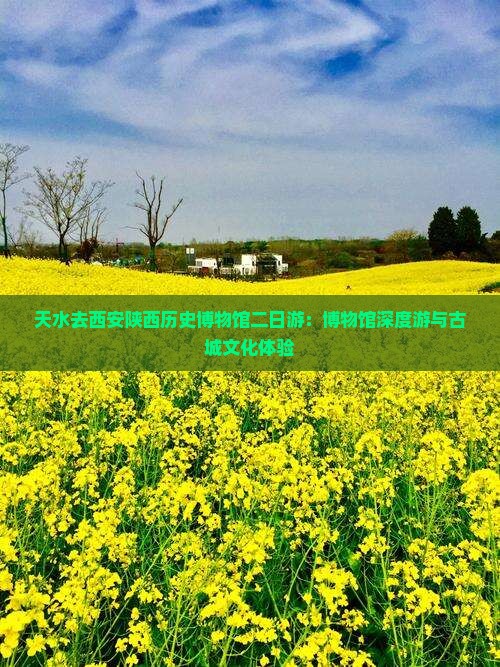 天水去西安陕西历史博物馆二日游