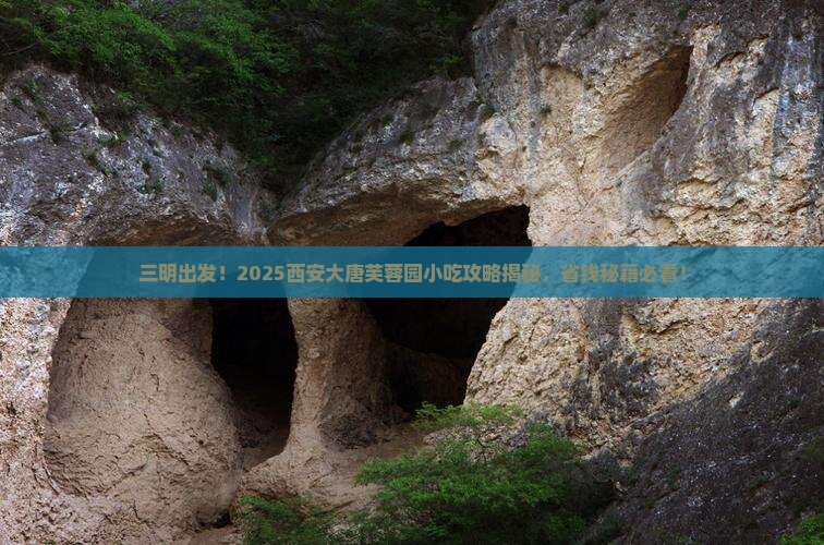 三明到西安大唐芙蓉园旅游小吃