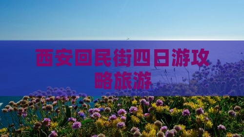 海南省直辖去西安回民街四日游