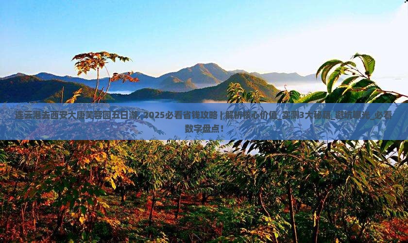 连云港去西安大唐芙蓉园五日游