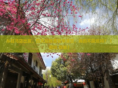驻马店到西安华清宫四日游