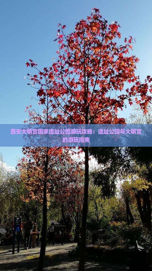 铜川到西安大明宫国家遗址公园哪里玩