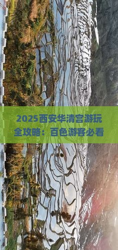 百色去西安华清宫哪里玩