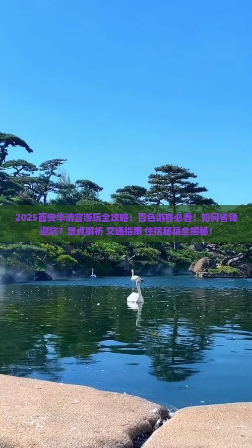 百色去西安华清宫哪里玩