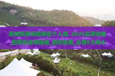 塔城到西安回民街个人游