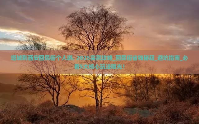 塔城到西安回民街个人游