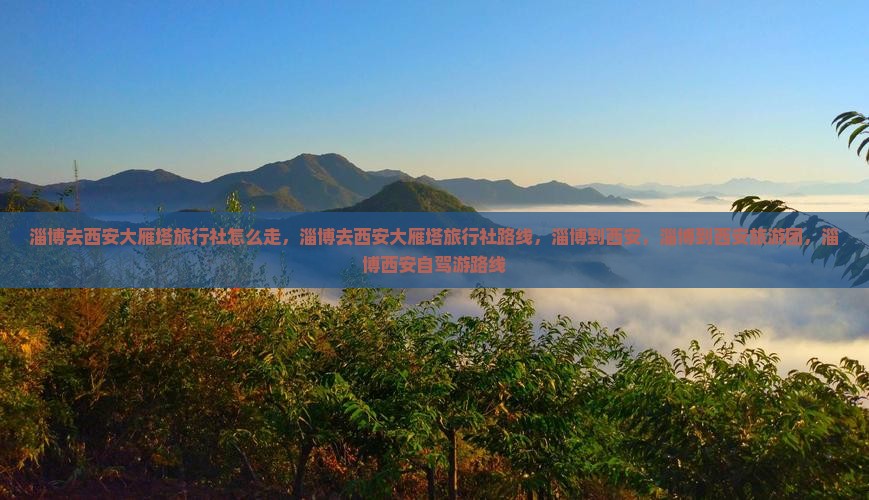 淄博去西安大雁塔旅行社
