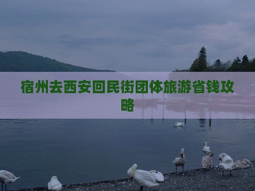 宿州去西安回民街团体旅游