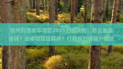 宿州到西安华清宫攻略