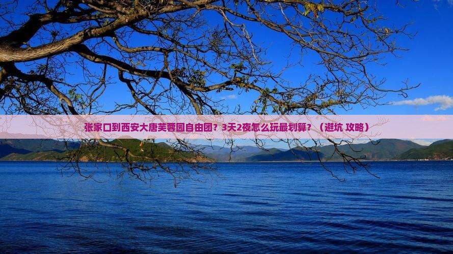 张家口到西安大唐芙蓉园自由团
