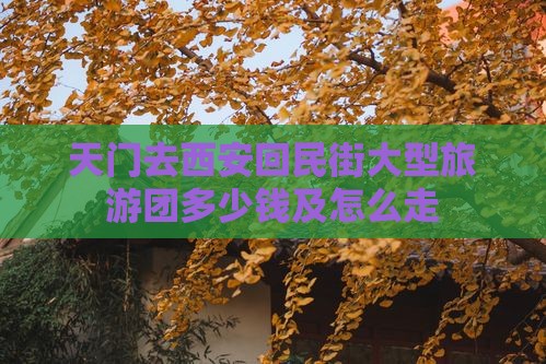 天门去西安回民街大型旅游团