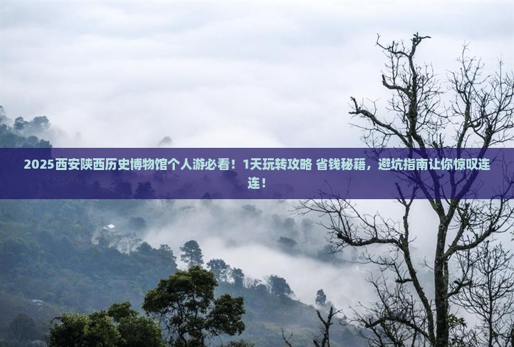 抚顺到西安陕西历史博物馆个人游 抚顺到西安陕西历史博物馆个人游