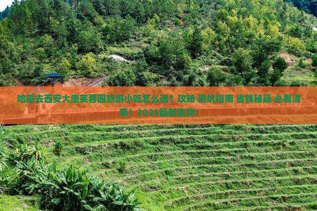 哈密去西安大唐芙蓉园旅游小吃