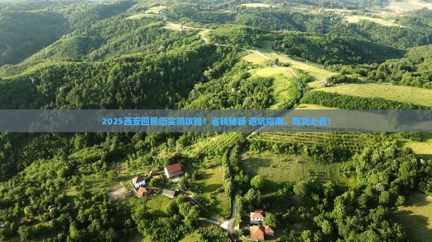 沧州去西安回民街个人游